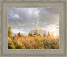 Load image into Gallery viewer, Payson Sunflowers

