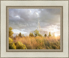 Load image into Gallery viewer, Payson Sunflowers
