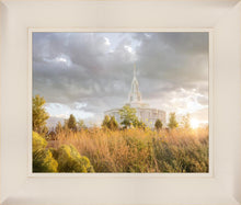 Load image into Gallery viewer, Payson Sunflowers
