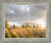 Load image into Gallery viewer, Payson Sunflowers
