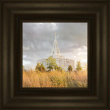 Load image into Gallery viewer, Payson Sunflowers
