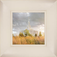 Load image into Gallery viewer, Payson Sunflowers
