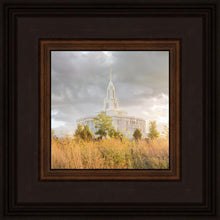 Load image into Gallery viewer, Payson Sunflowers
