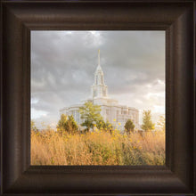 Load image into Gallery viewer, Payson Sunflowers
