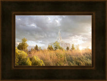 Load image into Gallery viewer, Payson Sunflowers

