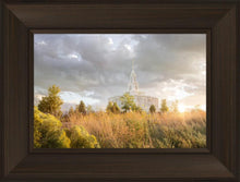 Load image into Gallery viewer, Payson Sunflowers
