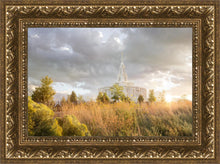Load image into Gallery viewer, Payson Sunflowers
