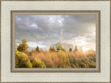Load image into Gallery viewer, Payson Sunflowers
