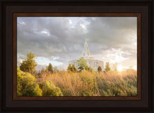 Load image into Gallery viewer, Payson Sunflowers
