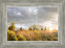 Load image into Gallery viewer, Payson Sunflowers
