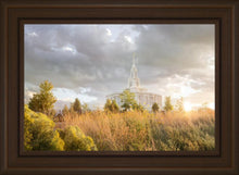 Load image into Gallery viewer, Payson Sunflowers

