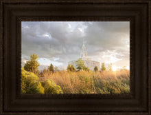 Load image into Gallery viewer, Payson Sunflowers

