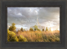 Load image into Gallery viewer, Payson Sunflowers
