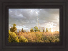 Load image into Gallery viewer, Payson Sunflowers

