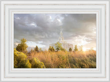 Load image into Gallery viewer, Payson Sunflowers
