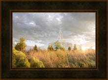 Load image into Gallery viewer, Payson Sunflowers
