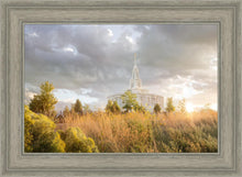 Load image into Gallery viewer, Payson Sunflowers
