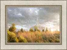 Load image into Gallery viewer, Payson Sunflowers
