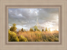 Load image into Gallery viewer, Payson Sunflowers
