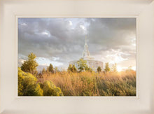Load image into Gallery viewer, Payson Sunflowers
