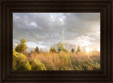 Load image into Gallery viewer, Payson Sunflowers
