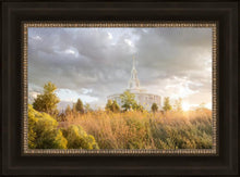 Load image into Gallery viewer, Payson Sunflowers
