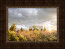 Load image into Gallery viewer, Payson Sunflowers
