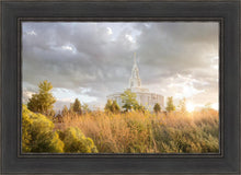 Load image into Gallery viewer, Payson Sunflowers
