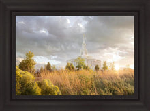 Load image into Gallery viewer, Payson Sunflowers

