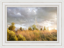 Load image into Gallery viewer, Payson Sunflowers
