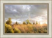 Load image into Gallery viewer, Payson Sunflowers
