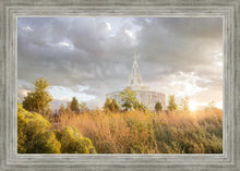 Load image into Gallery viewer, Payson Sunflowers
