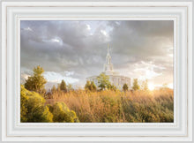 Load image into Gallery viewer, Payson Sunflowers
