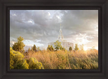 Load image into Gallery viewer, Payson Sunflowers
