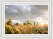 Load image into Gallery viewer, Payson Sunflowers
