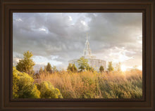 Load image into Gallery viewer, Payson Sunflowers
