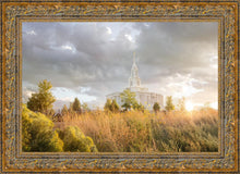 Load image into Gallery viewer, Payson Sunflowers
