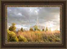 Load image into Gallery viewer, Payson Sunflowers
