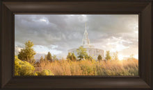 Load image into Gallery viewer, Payson Sunflowers
