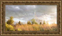 Load image into Gallery viewer, Payson Sunflowers
