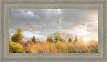 Load image into Gallery viewer, Payson Sunflowers
