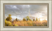 Load image into Gallery viewer, Payson Sunflowers
