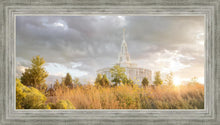 Load image into Gallery viewer, Payson Sunflowers
