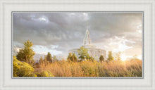 Load image into Gallery viewer, Payson Sunflowers
