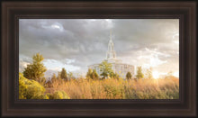 Load image into Gallery viewer, Payson Sunflowers

