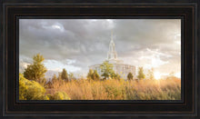 Load image into Gallery viewer, Payson Sunflowers
