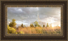 Load image into Gallery viewer, Payson Sunflowers
