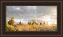 Load image into Gallery viewer, Payson Sunflowers
