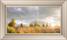 Load image into Gallery viewer, Payson Sunflowers
