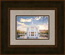 Load image into Gallery viewer, Ogden the Miracle is Coming
